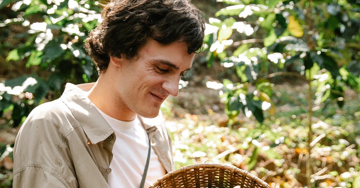 Imagem conceitual representando crescimento e monetização de conteúdo adulto digital