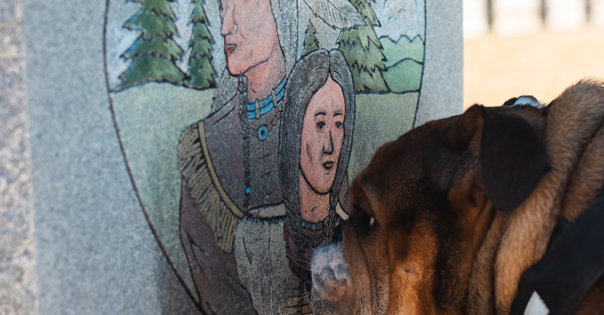 Pessoa satisfeita segurando aparelho móvel, simbolizando fidelização em plataformas online