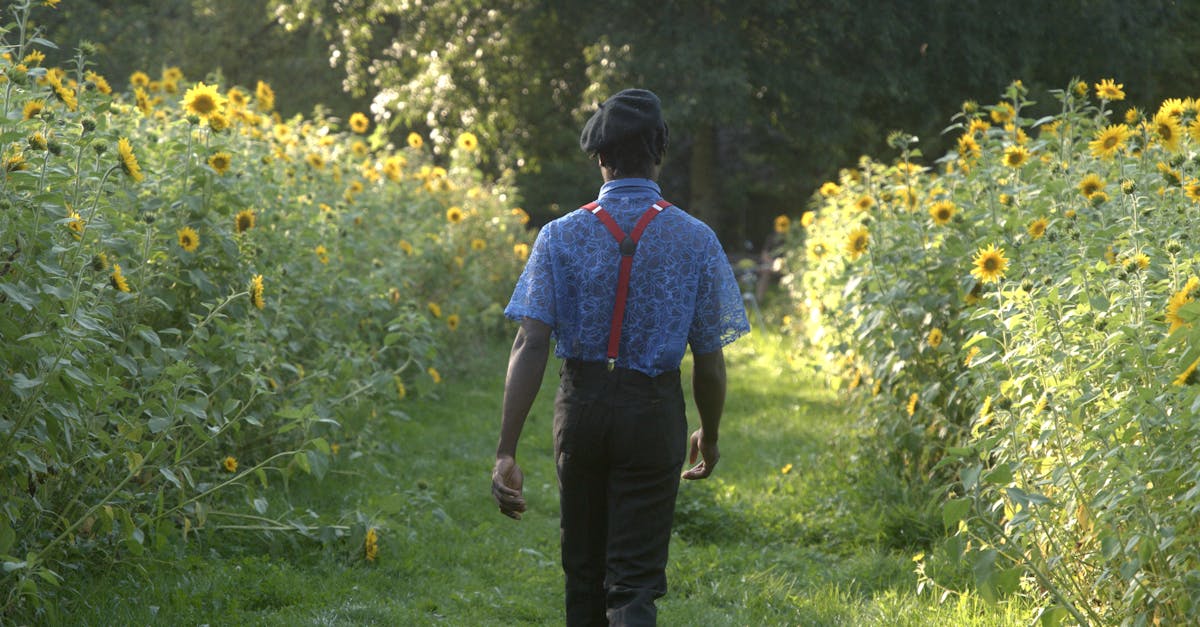 Imagem conceitual representando crescimento e fidelização em plataforma adulta