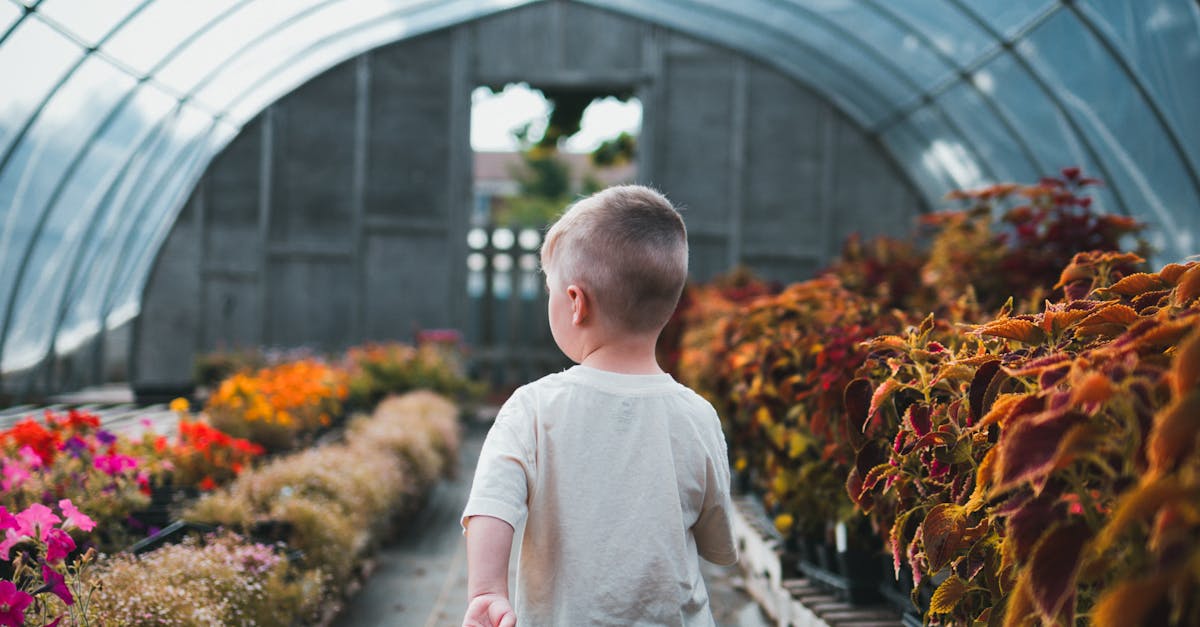 Pessoa satisfeita analisando o crescimento de assinantes em laptop