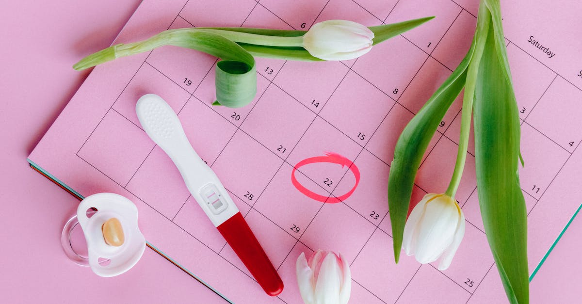 Imagem conceitual representando crescimento e fidelização de assinantes em conteúdo adulto