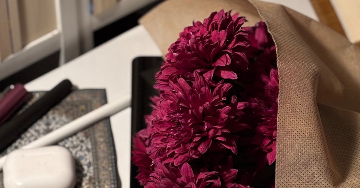 Pessoa analisando gráficos e dados para estudo de caso de monetização digital