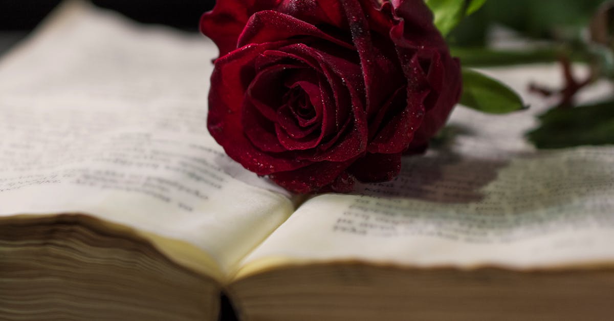 Casal em pose sensual com expressão de intimidade e clima acolhedor