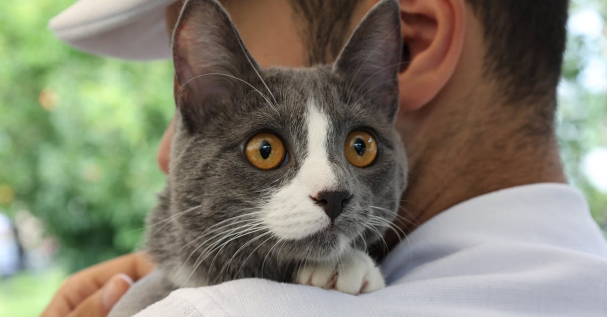 Ilustração conceitual sobre segurança digital para criadores de conteúdo adulto